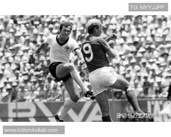 退役贝足球明星1013的传奇人生与影响力回顾 退役贝足球明星1013的传奇人生与影响力回顾